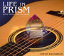 Life In Prism: Guitar Notes From The Inside - Steve Baughman