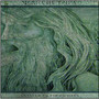Anestral Cult Of Divinity - Warchetype