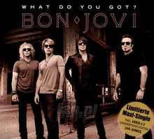 What Do You Got? - Bon Jovi
