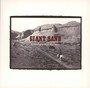 Ballad Of A Thin Line Man - Giant Sand