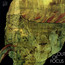 Out Of Focus - Out Of Focus
