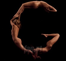 Tango 3.0 - Gotan Project