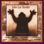 The Healer - John Lee Hooker 