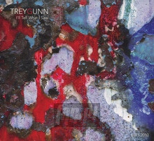I'll Tell What I Saw - Trey Gunn