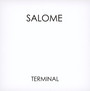 Terminal - Salome