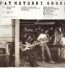 American Garage - Pat Metheny
