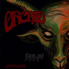Capricorn - Orchid