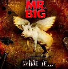 What If - MR. Big