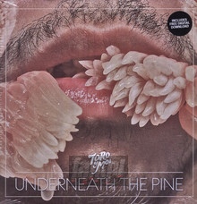 Underneath The Pine - Toro Y Moi