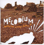 Music For Invisible People - Melodium