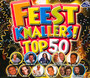 Feestknallers! Top 100 - V/A