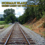 Green Light On The Southern - Norman Blake