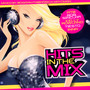 Hits In The Mix - V/A