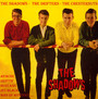 Shadows, Drifters & Chesternuts - The Shadows