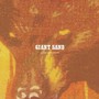 Purge & Slouch - Giant Sand