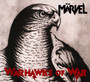 Warhawks Of War - Maervel