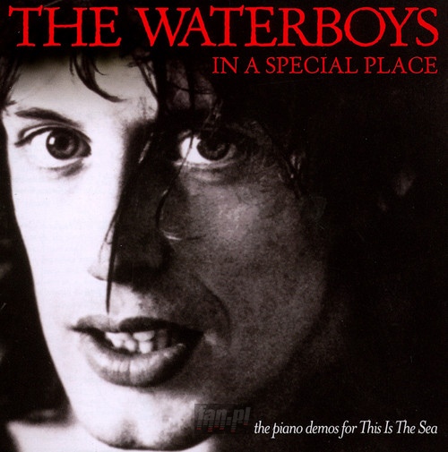In A Special Place - The Waterboys