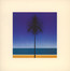 The English Riviera - Metronomy