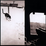 We Are Lonely Animals - Braveyoung