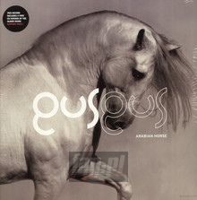 Arabian Horse - Gus Gus