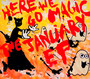January - Here We Go Magic