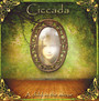 A Child In The Mirror - Ciccada