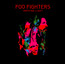 Wasting Light - Foo Fighters