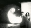 Tamer Animals - Other Lives Tamer Animals - Other Lives