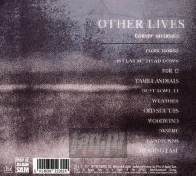 Tamer Animals - Other Lives