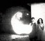 Tamer Animals - Other Lives Tamer Animals - Other Lives