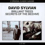 Brilliant Trees / Secrets Of The Beehive - David Sylvian