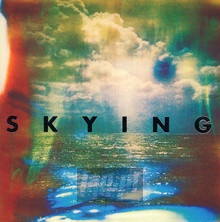 Skying - The Horrors