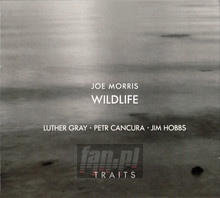 Traits - Joe Morris / Wildlife