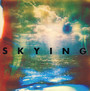 Skying - The Horrors