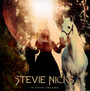In Your Dreams - Stevie Nicks