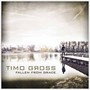 Fallen From Grace - Timo Gross