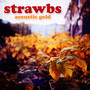 Acoustic Gold - The Strawbs