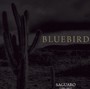 Saguaro 1995-2003 - Bluebird