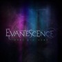What You Want - Evanescence