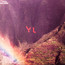 Year Of Hibernation - Youth Lagoon