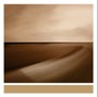 Small Craft On A Milk Sea - Brian Eno