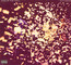Occasion - Kidz In The Hall Occasion - Kidz In The Hall