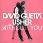 Without You/feat. Usher - David Guetta