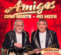 Beste-40 Hits - Amigos