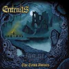 The Tomb Awaits - Entrails