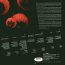 Everyday - The Cinematic Orchestra - bigger Everyday - The Cinematic Orchestra
