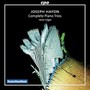 Complete Piano Trios - J. Haydn