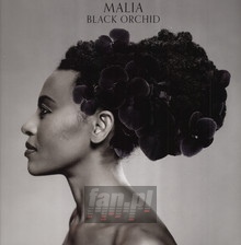 Black Orchid - Malia