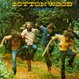 Camaraderie - Cottonwood