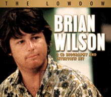 The Lowdown - Brian Wilson